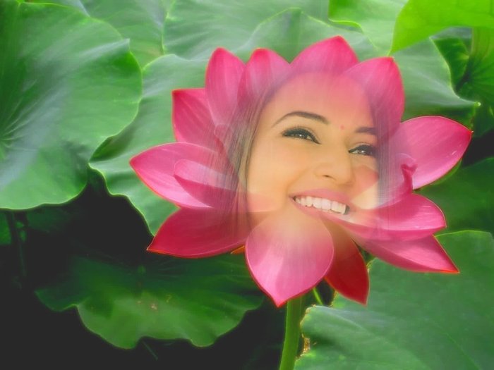 kuhykfyk - a ta pentru totdeauna