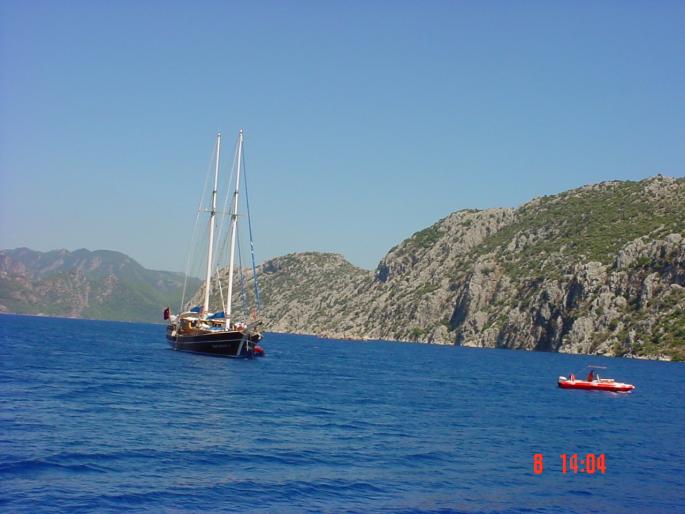 DSC03519