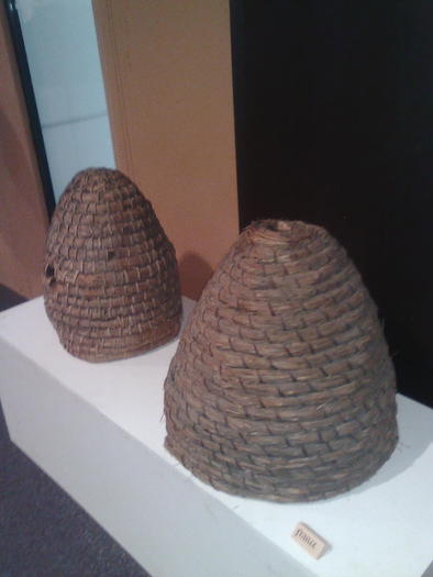 Imagine1092 - ApiMondia