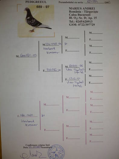 ped6 - 6- PEDIGREE