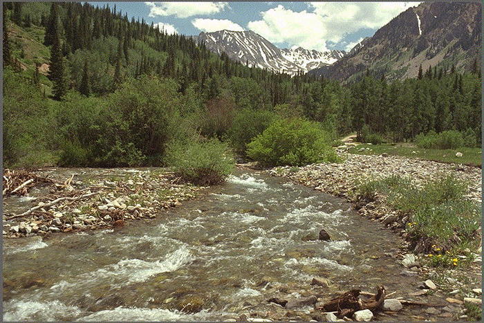 KODAK07