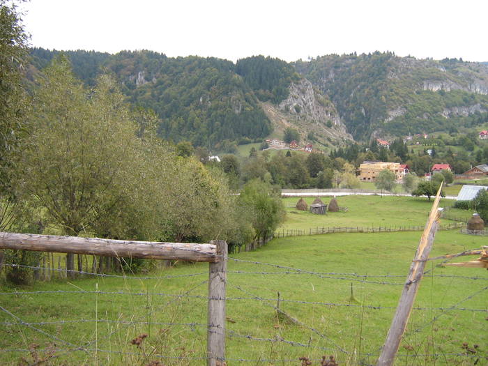 V.cheii sept. 2008 071 - Valea Cheii-Podul Dambovicioarei-Piatra Craiului