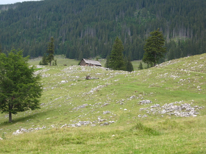  - PIATRA CRAIULUI