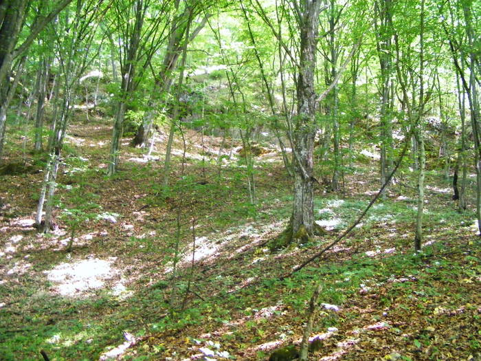 DSCF1044