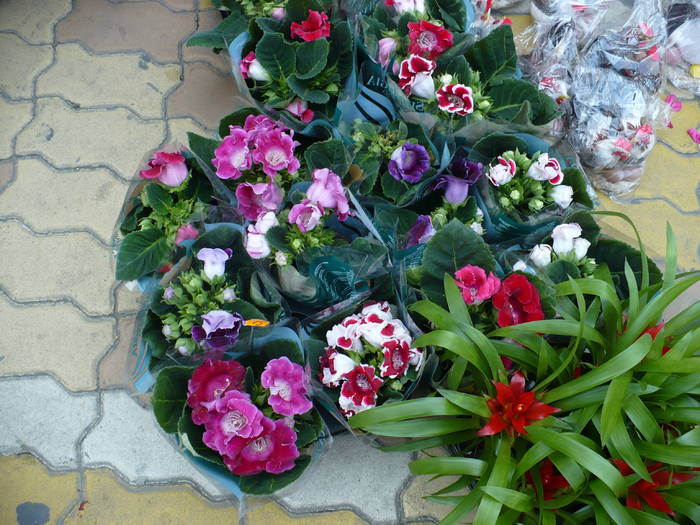 P1020484