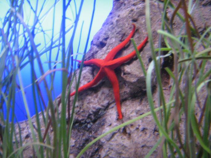 IMG_0871 - Tenerife 2006