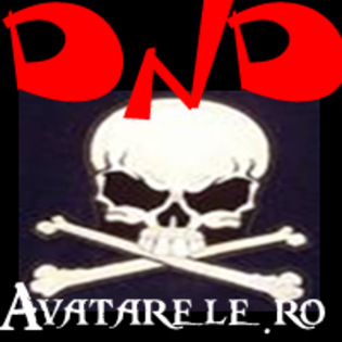 16 - avatare cu DnD