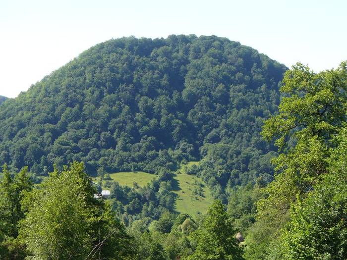 P1000366 - varful Ignis Maramures