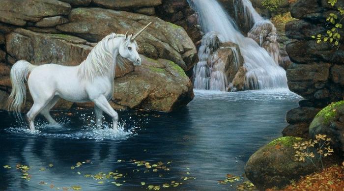unicorns3