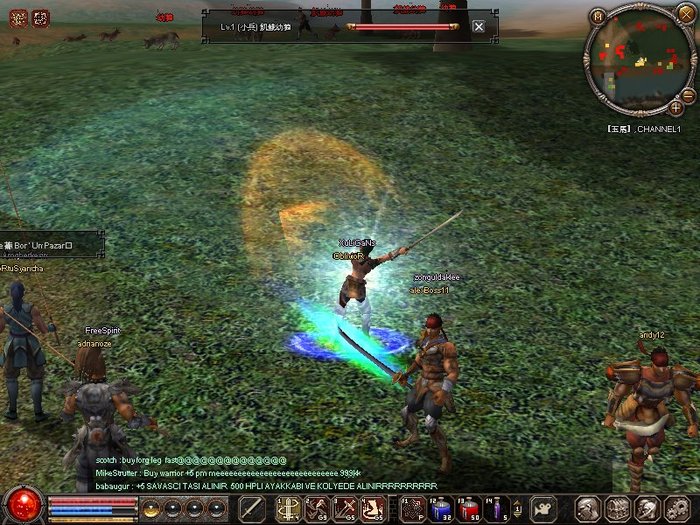 1214_110531 - metin 35 pserver poze noi