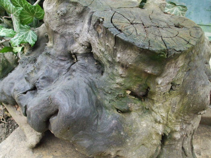 Picture 260 - Amazing rock