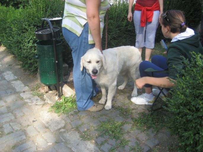 IMG_3332 - EXPO Tg Mures 2008