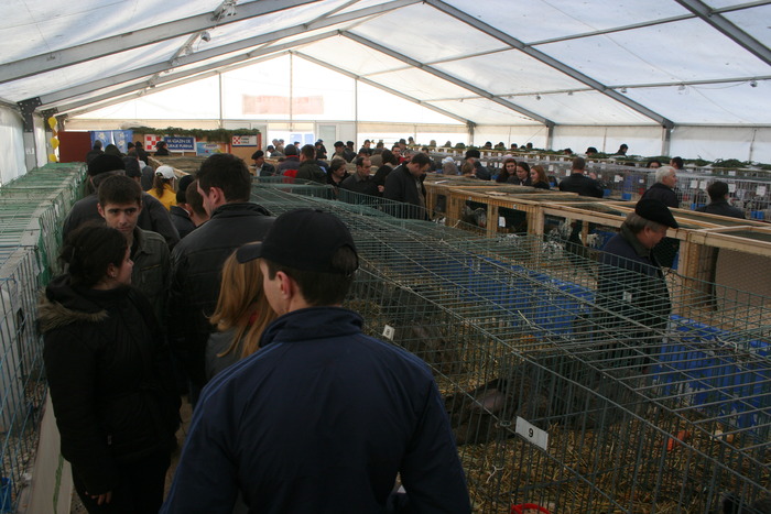 EXPO-PAS Suceava 2009 - EXPO PAS Suceava 2009