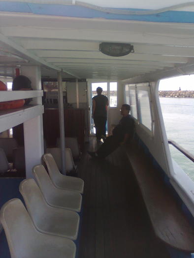 poftiti la bord - ApiMondia