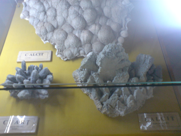 DSC00488 - STEFY BUCURESTI - MUZEUL DE GEOLOGIE