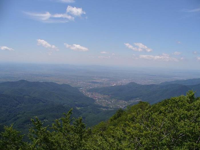 P1000469 - varful Ignis Maramures