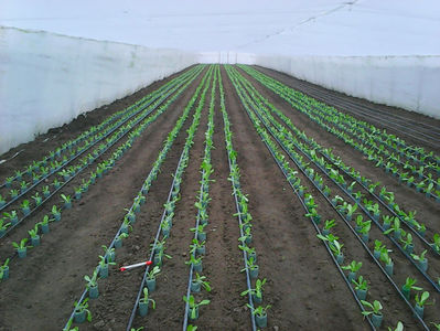 Photo0311