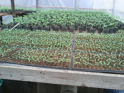 Photo0316