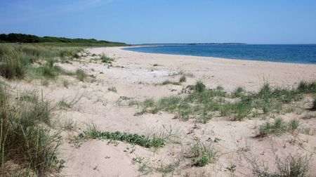 Carapcea, plaja (vedere spre nord)