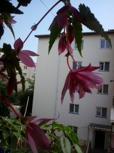 2016-07-02 09.12.28