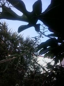 2016-07-29 18.52.46