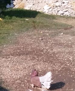 CAM00540