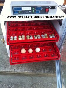 Incubator oua prepelita 288