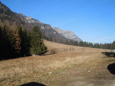 SINAIA POIANA STANA REGALA  (5)