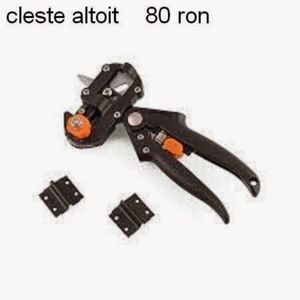 imagescleste altoit; http://clestepentrualtoit.blogspot.ro/
