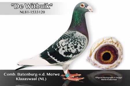 de_witbuik