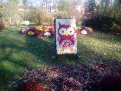 ; Gradina botanica București  toamna 2016 .
