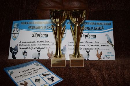 Campion Expo Armenopolis Gherla 3-5 feb.2017