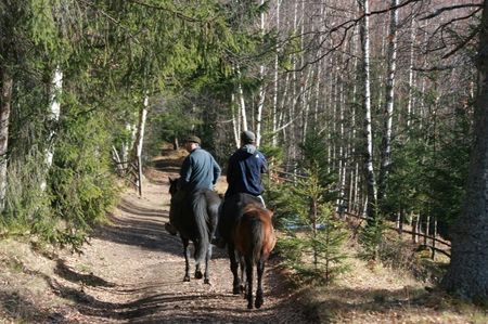 turisn ecvestru; Pe Dealul Negru
