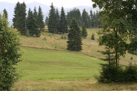 In oglinda; Teren indreptat si in plan indepartat teren aflat in stare naturala
