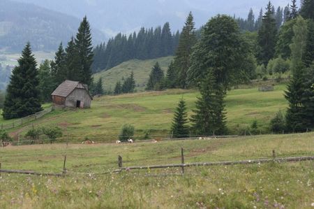 Harjoaica; Se vad urmele interventiilor
