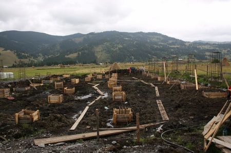 constructia fermei; Cuzineti in mlastina
