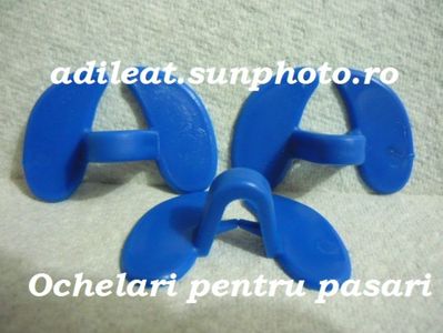 Ochelari pentru Pasari 1 leu buc.