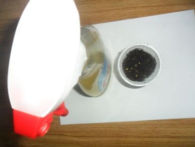solutie formata din 1l apa ,2ml atonik ,1 ml previcur