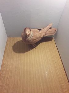F 12219