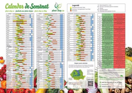 Plant-Shop_Calendar1024