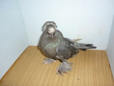 F 12269