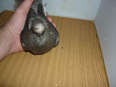 F 12269