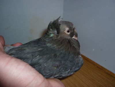 F 12269
