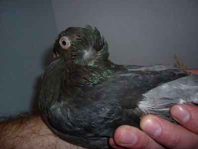 F 12269