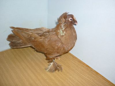 F 12214