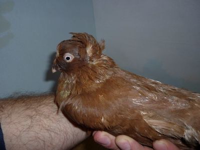 F 12214