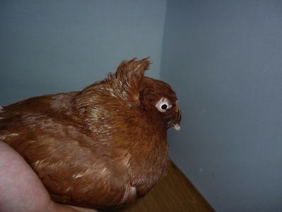 F 12204