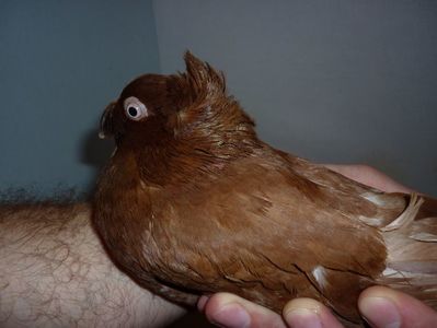 F 12204