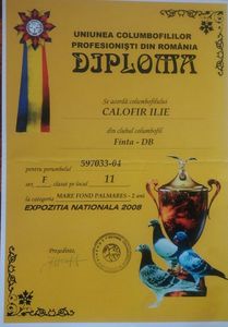 Diploma expozitie 033