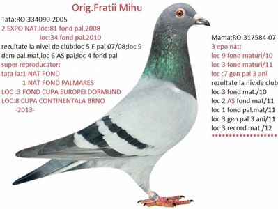semifrate olimpic.cristi clelaru